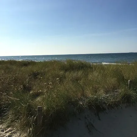 Ostseebungalow Haninghuus Dom wakacyjny Diedrichshagen (Vorpommern-Greifswald)