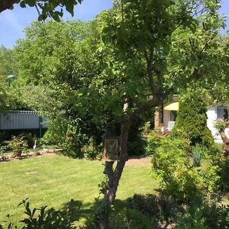 Ostseebungalow Haninghuus * Diedrichshagen